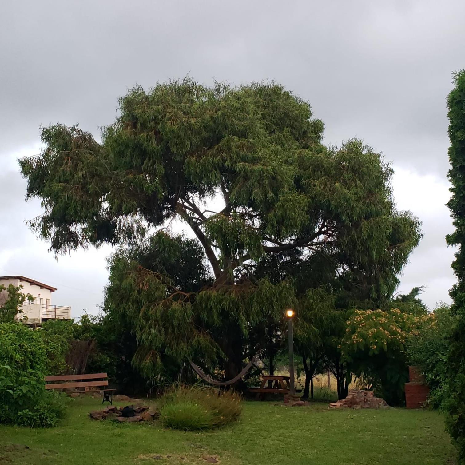 Casa Bordó, * Tandil